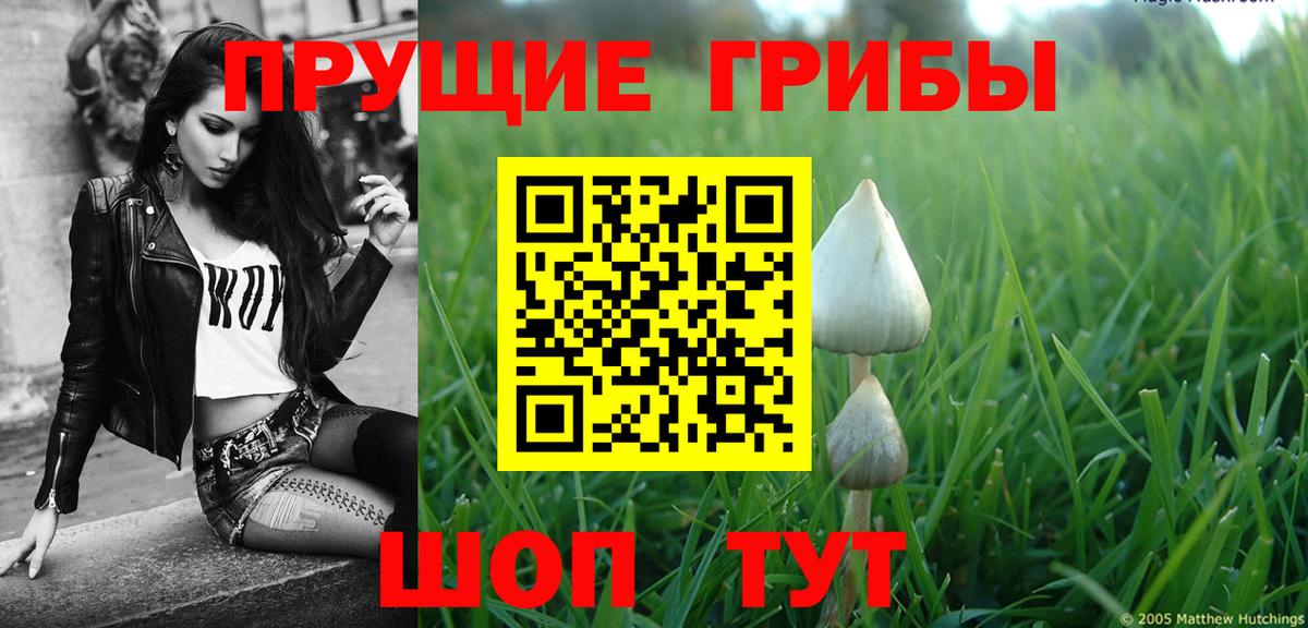 Псилоцибиновые грибы мицелий  Вход с VPN  Глазов 